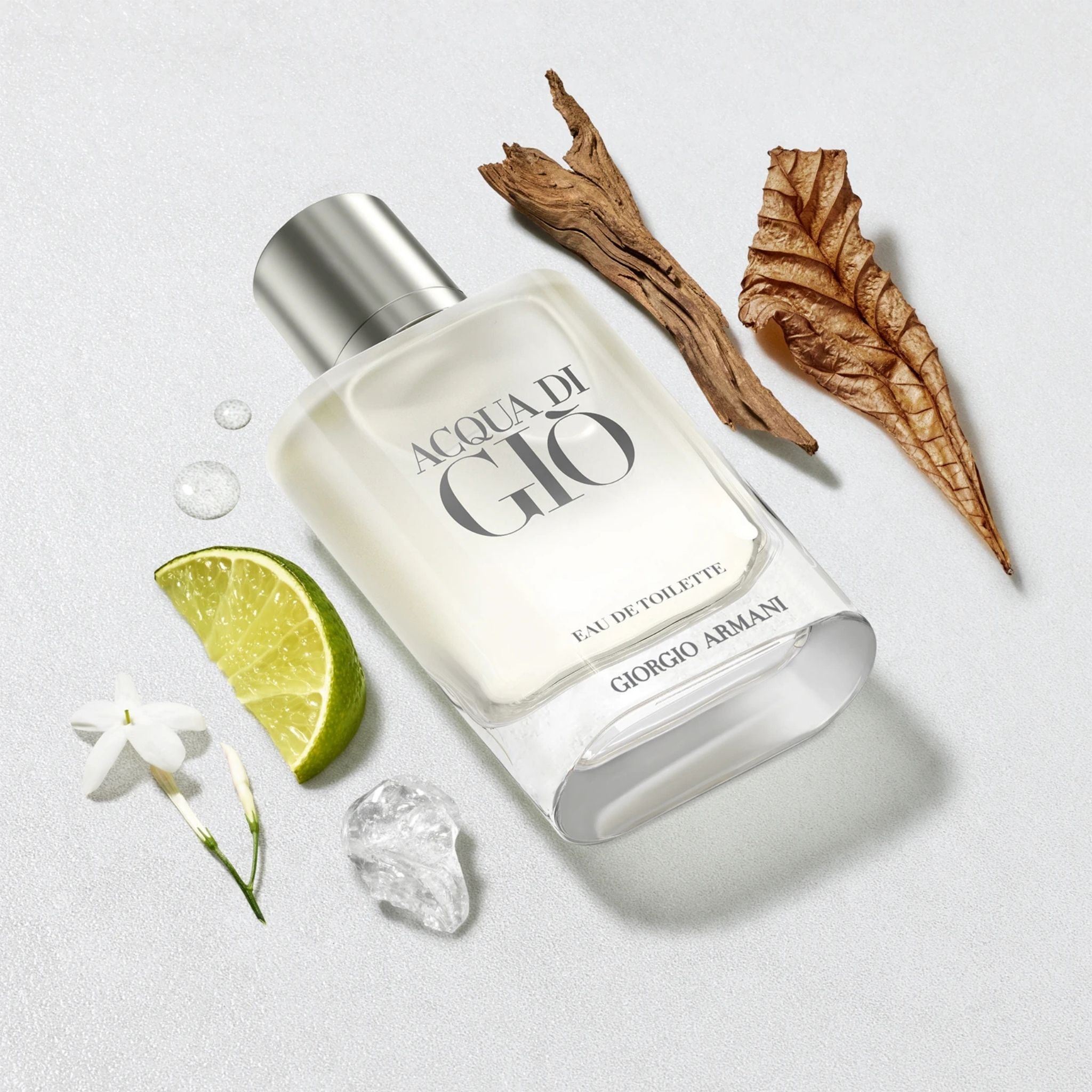 Armani Acqua di Giò 100 ml edt (m)