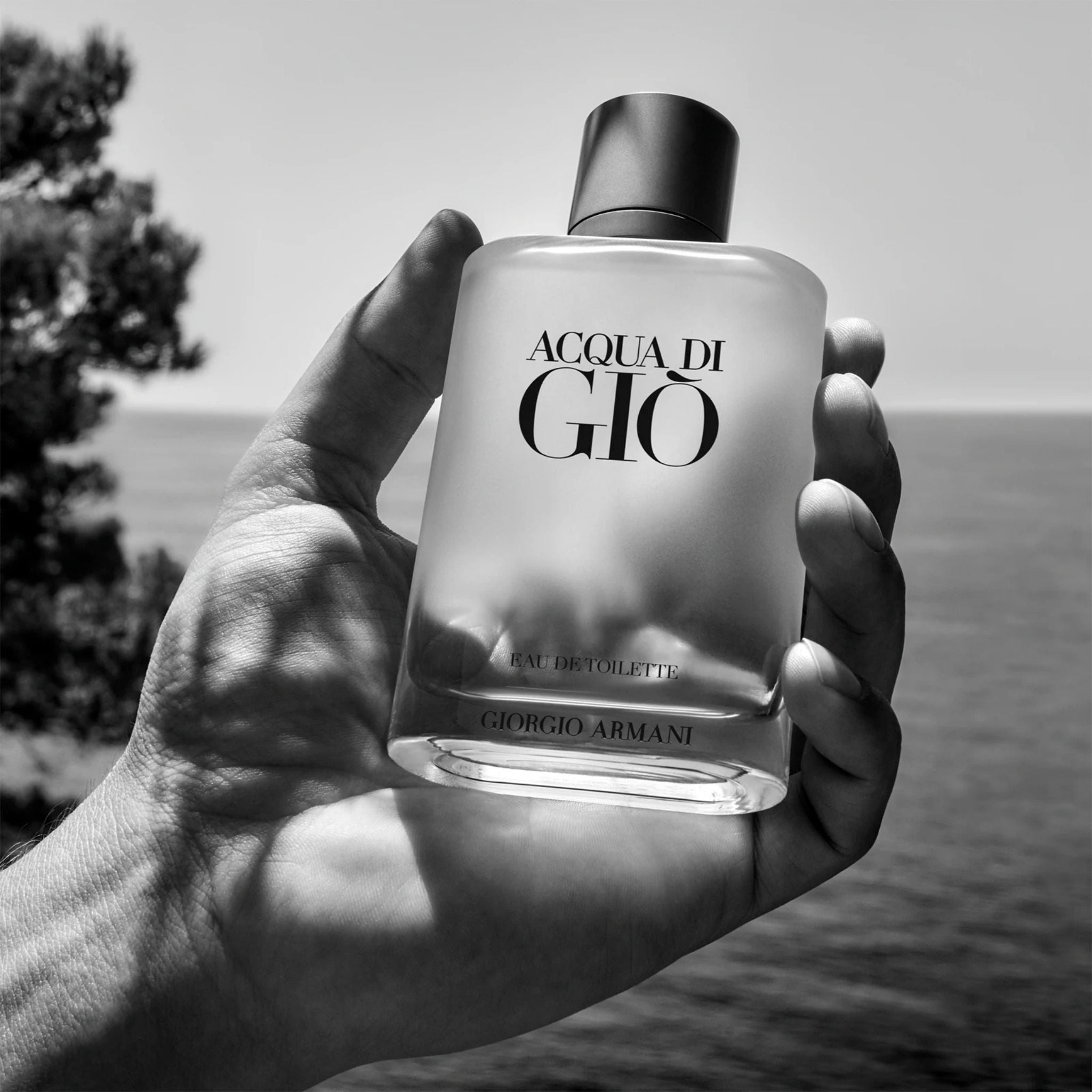 Armani Acqua di Giò 100 ml edt (m)