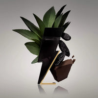 Carolina Herrera Bad Boy 100 ml edt (m)