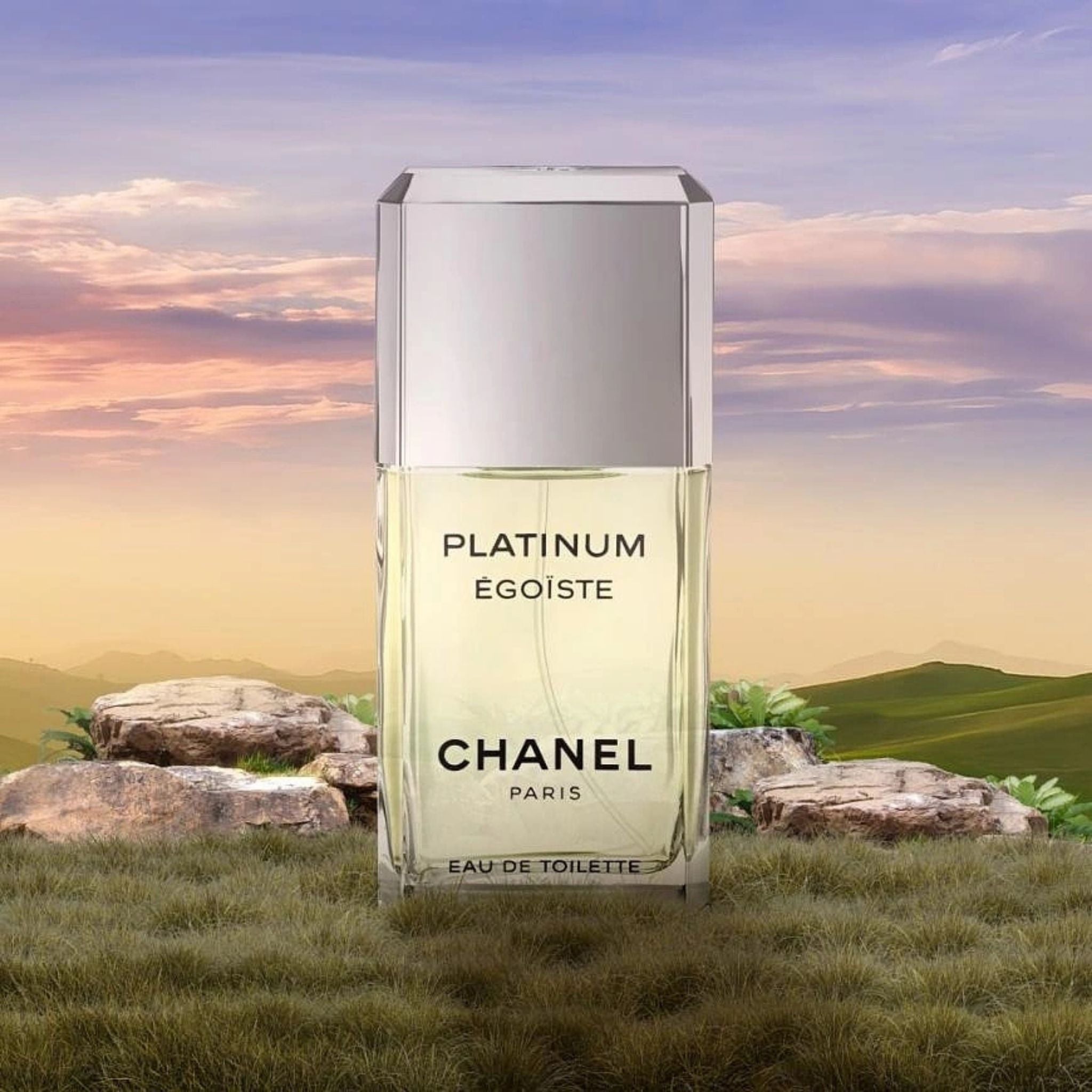 Chanel Egoist Platinum 100 ml edt (m)