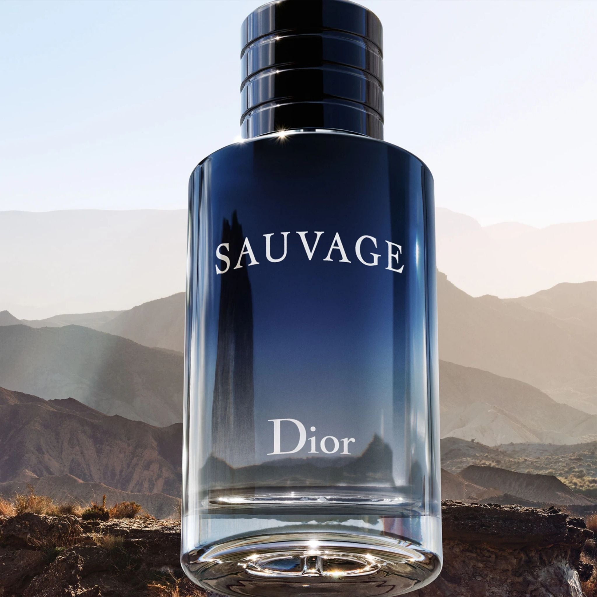 Dior Sauvage 100 ml edt (m)
