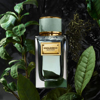 Dolce&Gabbana Velvet Infusion 100 ml edp (w)