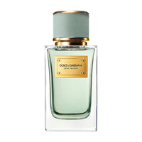 Dolce&Gabbana Velvet Infusion 100 ml edp (w)