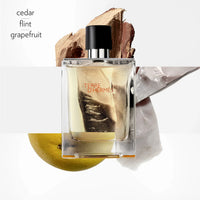 Hermes Terre D'Hermes 100 ml edt (m)
