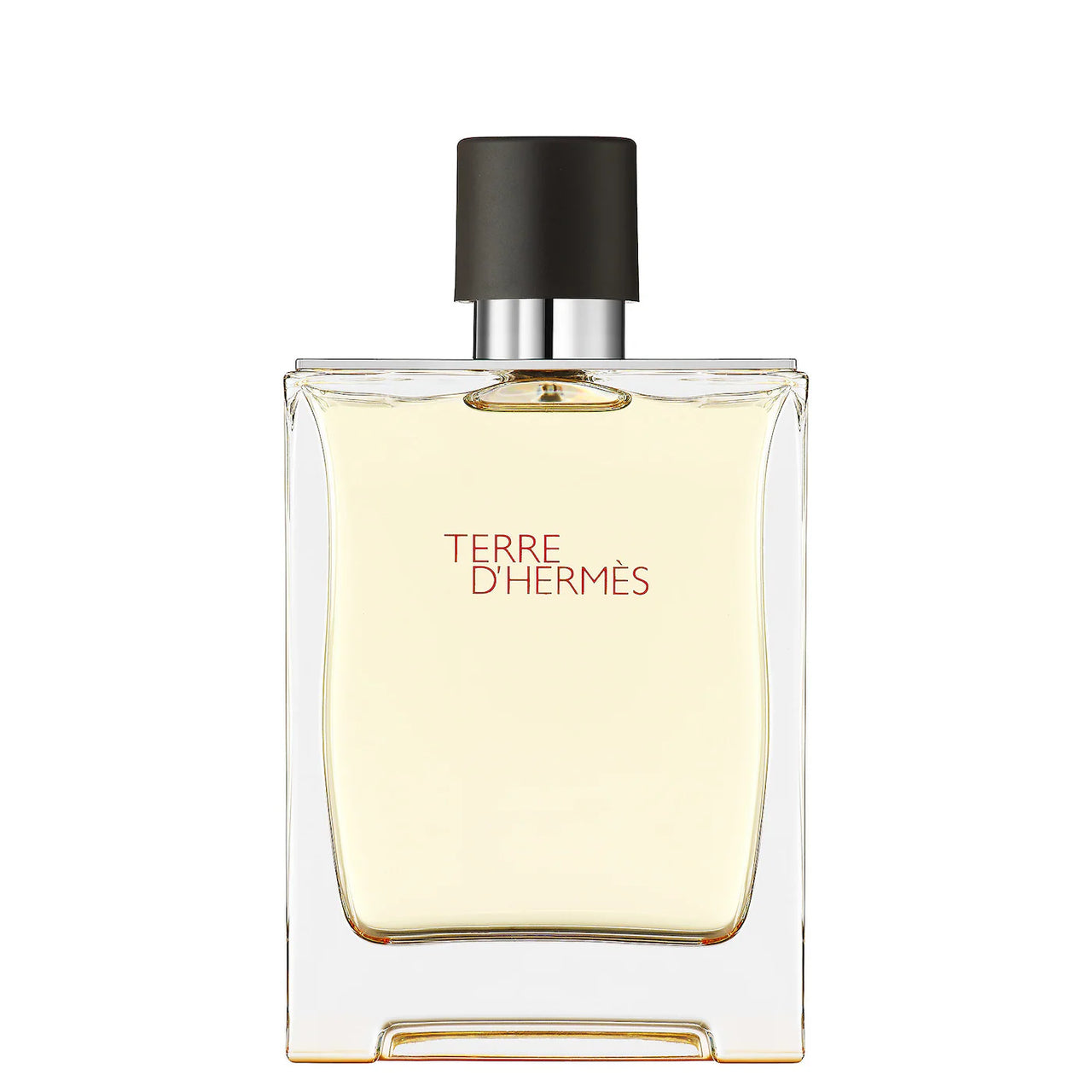 Hermes Terre D'Hermes 100 ml edt (m)