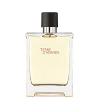 Hermes Terre D'Hermes 100 ml edt (m)
