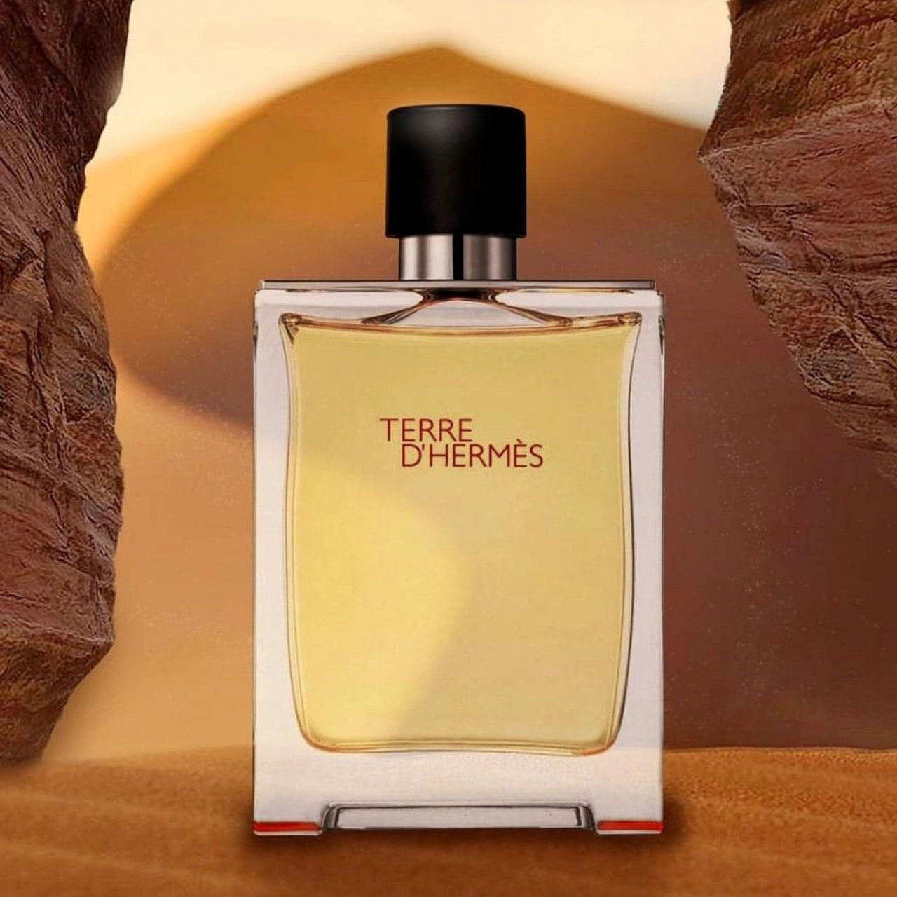 Hermes Terre D'Hermes 100 ml edt (m)