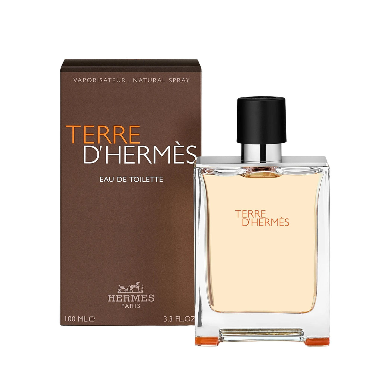 Hermes Terre D'Hermes 100 ml edt (m)