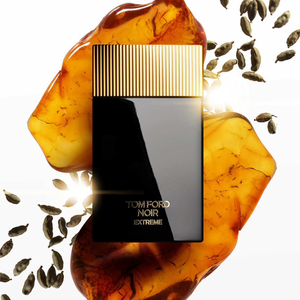 Tom Ford Noir Extreme 100 ml edp (m)