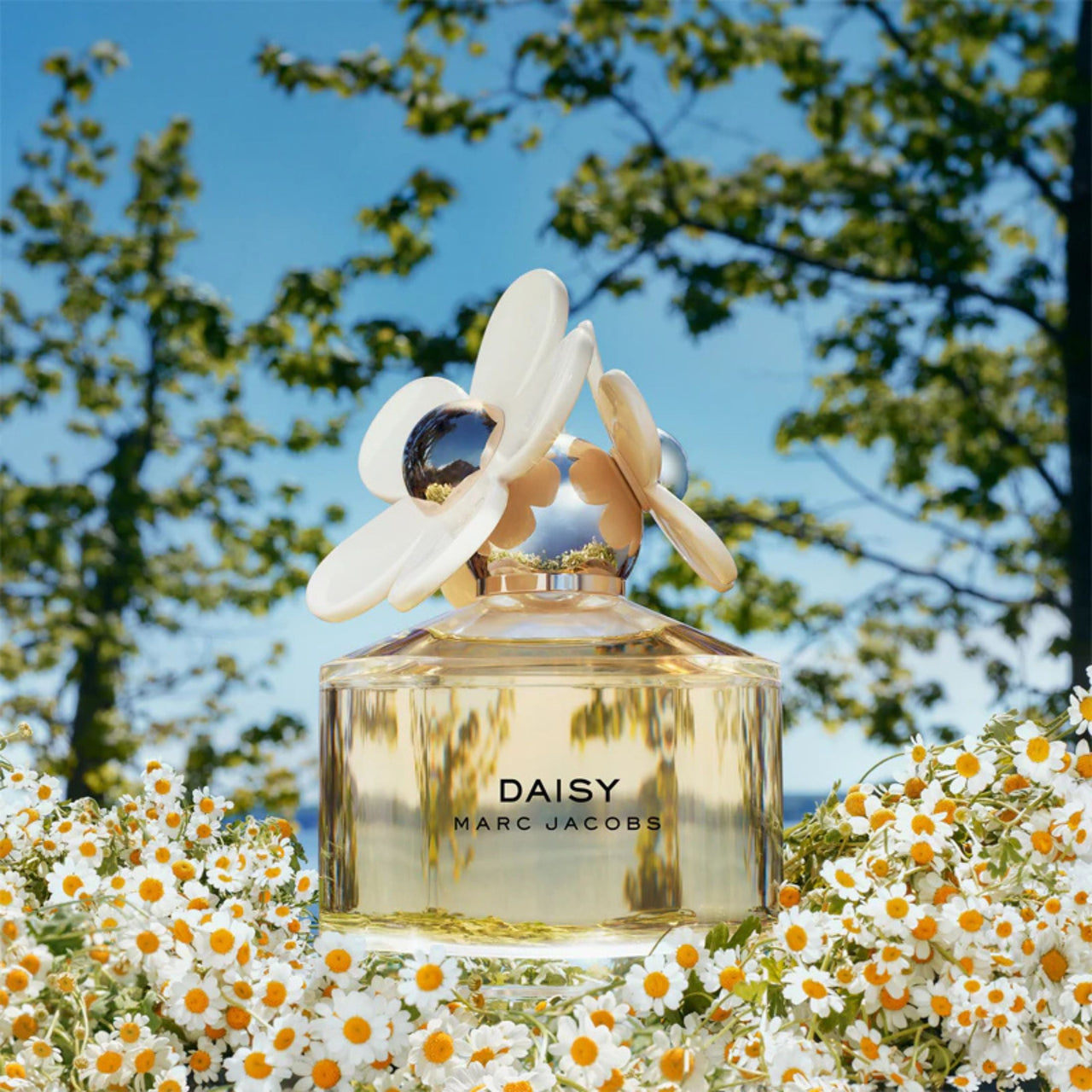 Marc Jacobs Daisy edt 100 ml (w)