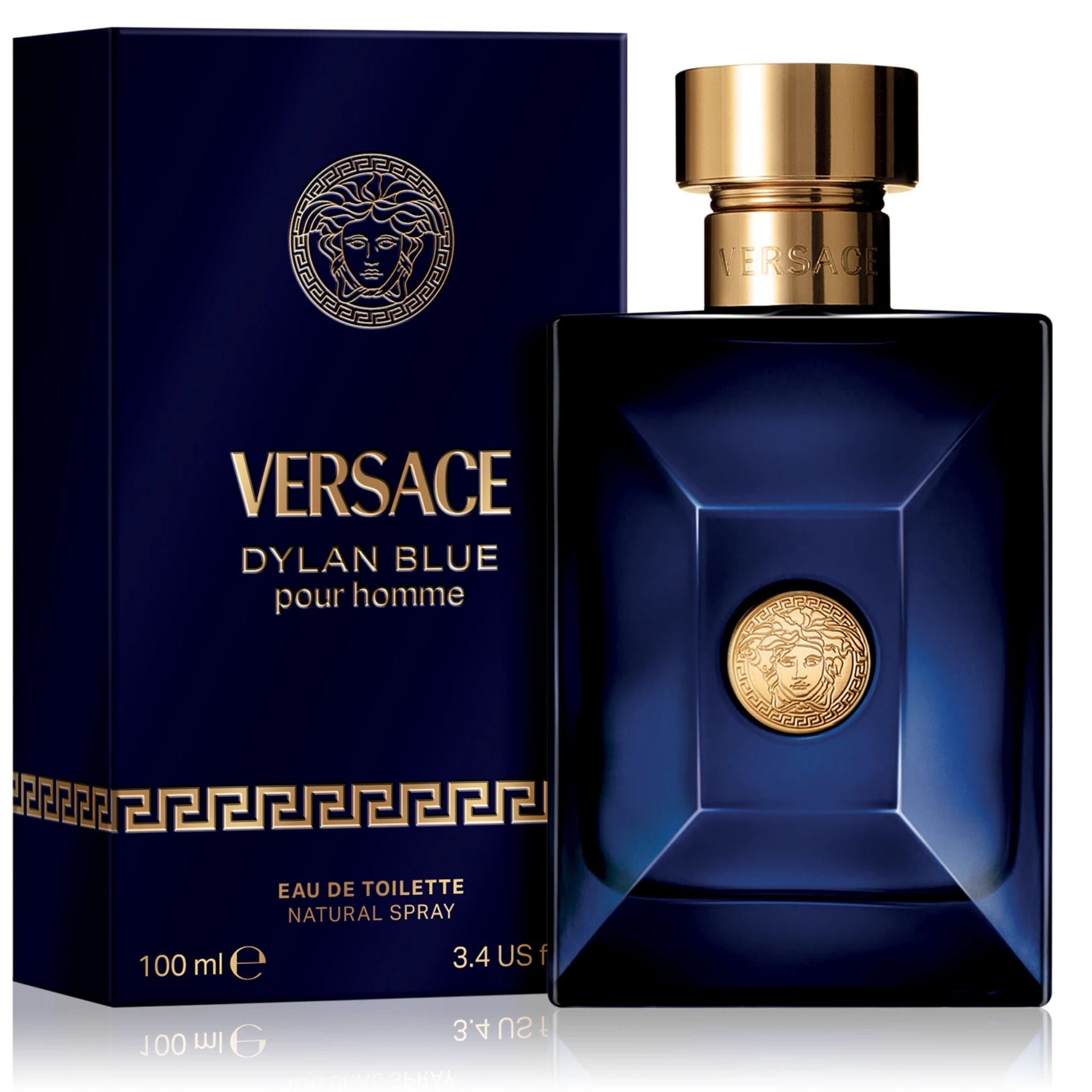 Versace Dylan Blue Pour Homme 100 ml edt (m)