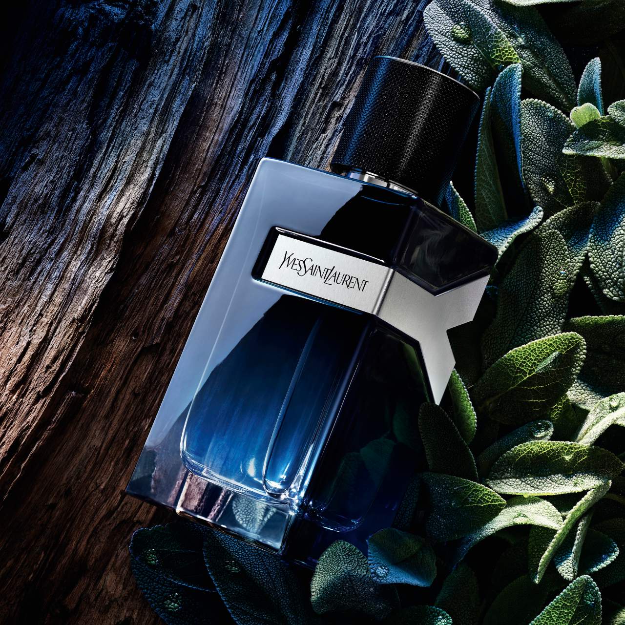 Yves Saint Laurent Y men 100 ml edp (m)
