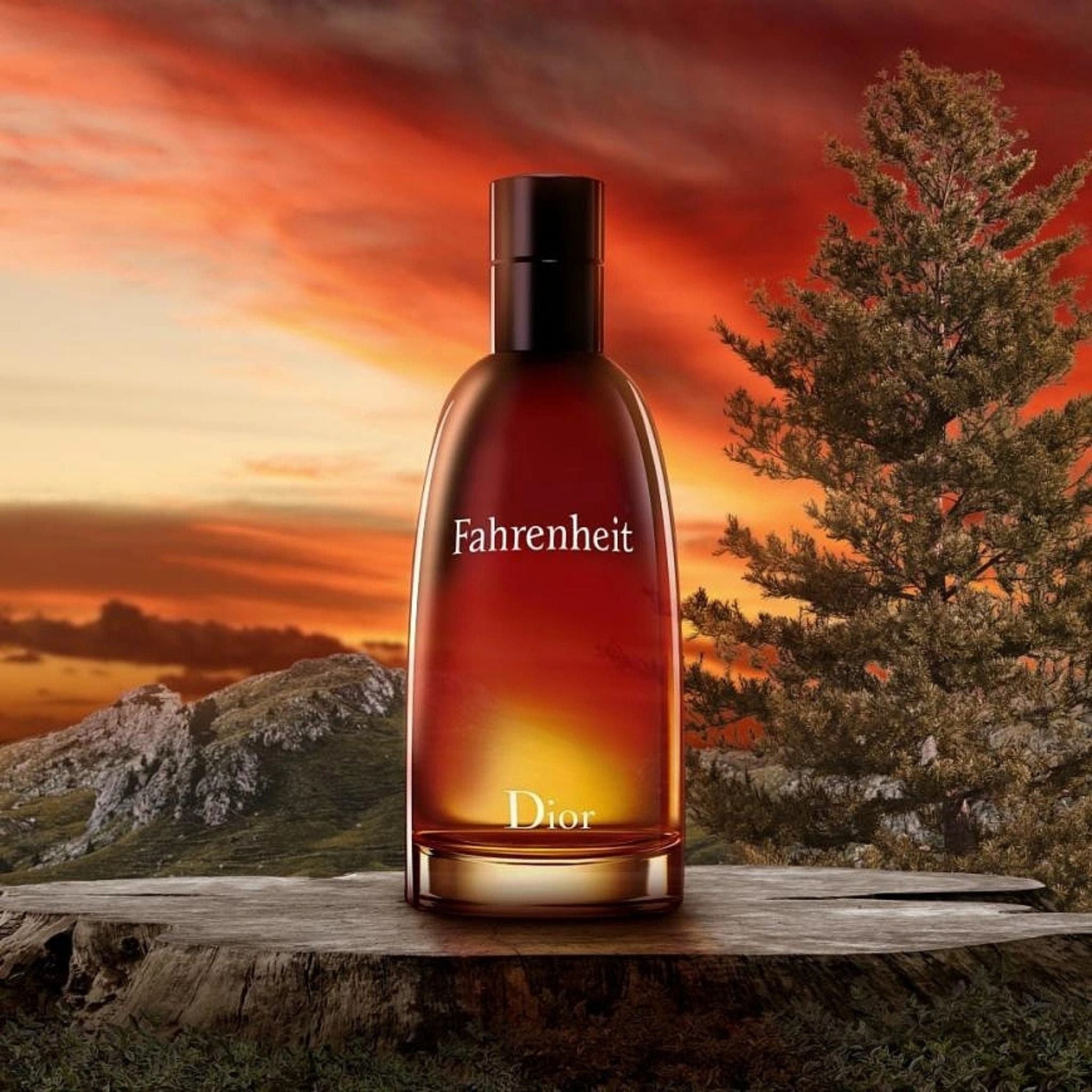 Dior Fahrenheit 100 ml edt (m)